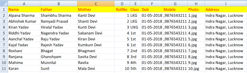 Student ID card Excel data format for bulk school ID card generation